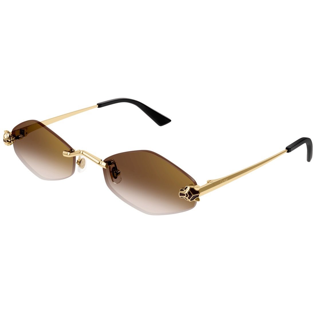 cartier-ct0433s-002-386208_1100x